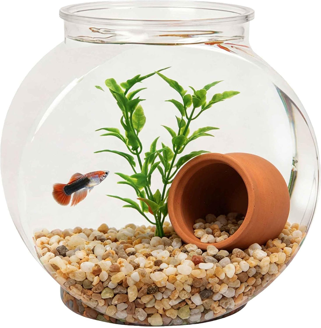 Koller Products 1-Gallon Plastic Oval Fish Bowl