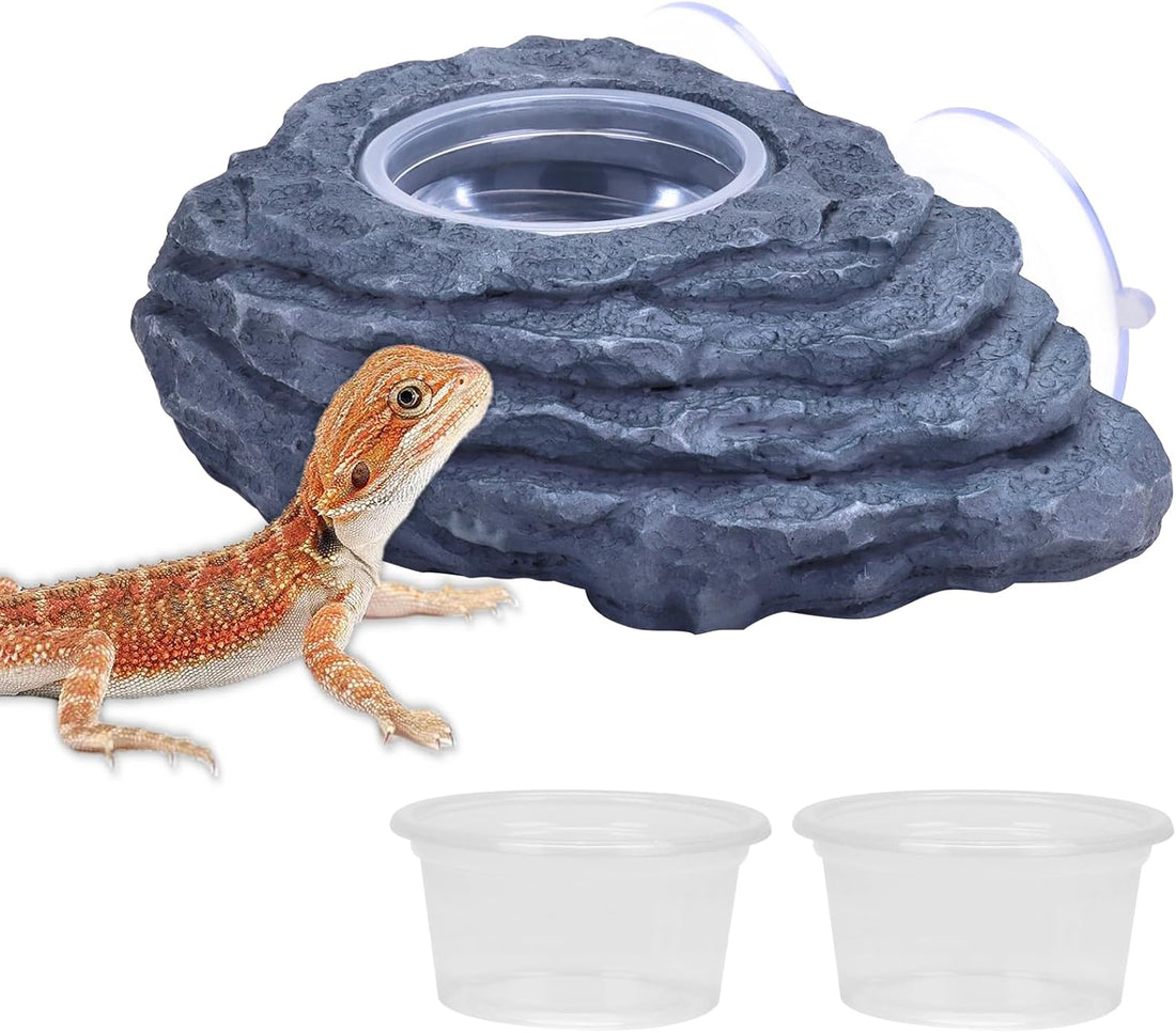 AIICIOO Gecko Feeder Ledge with 6 Pack Plastic Bowls Crested Gecko