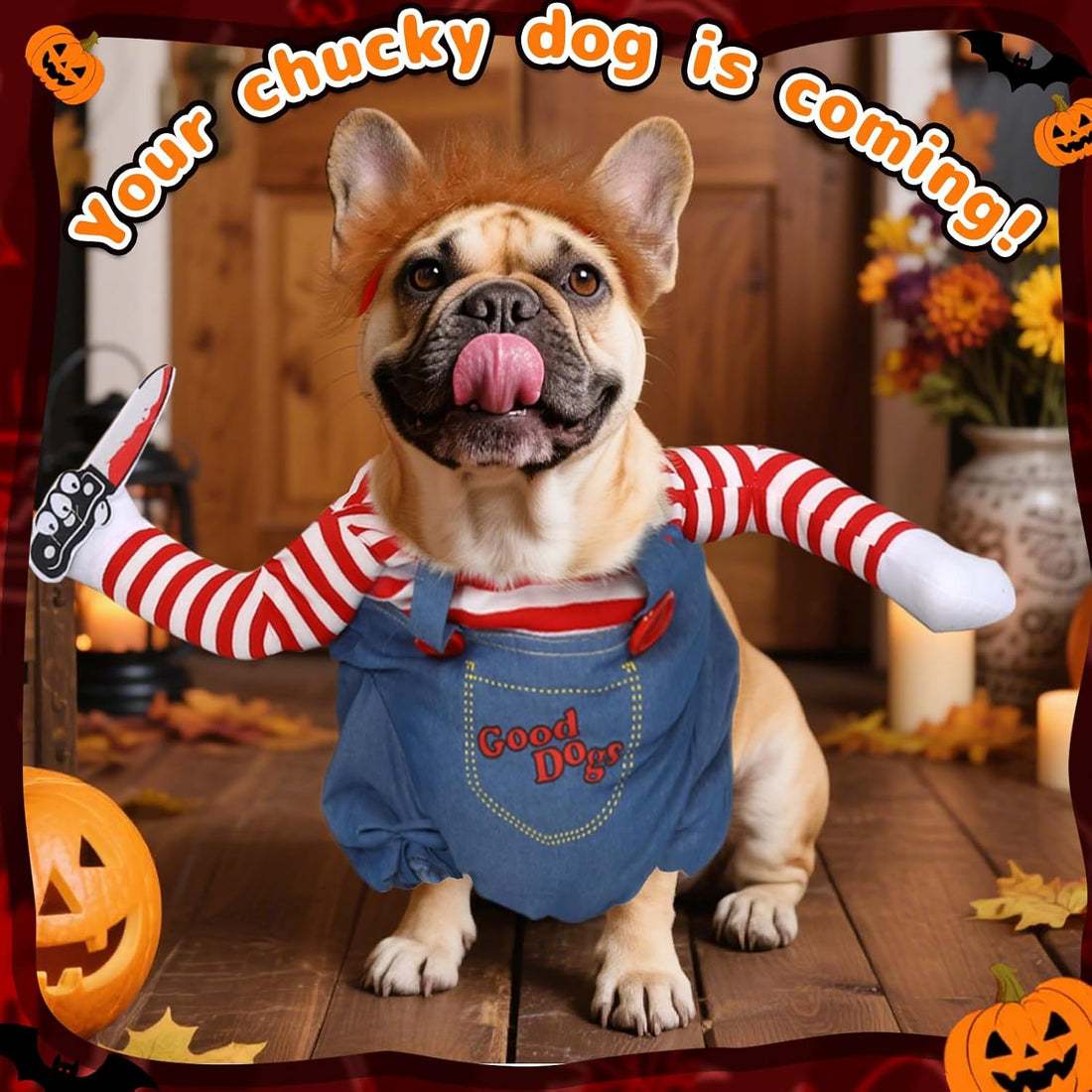 T2Y Dog Halloween Costume Pet Deadly Doll Chucky Dogs Costume