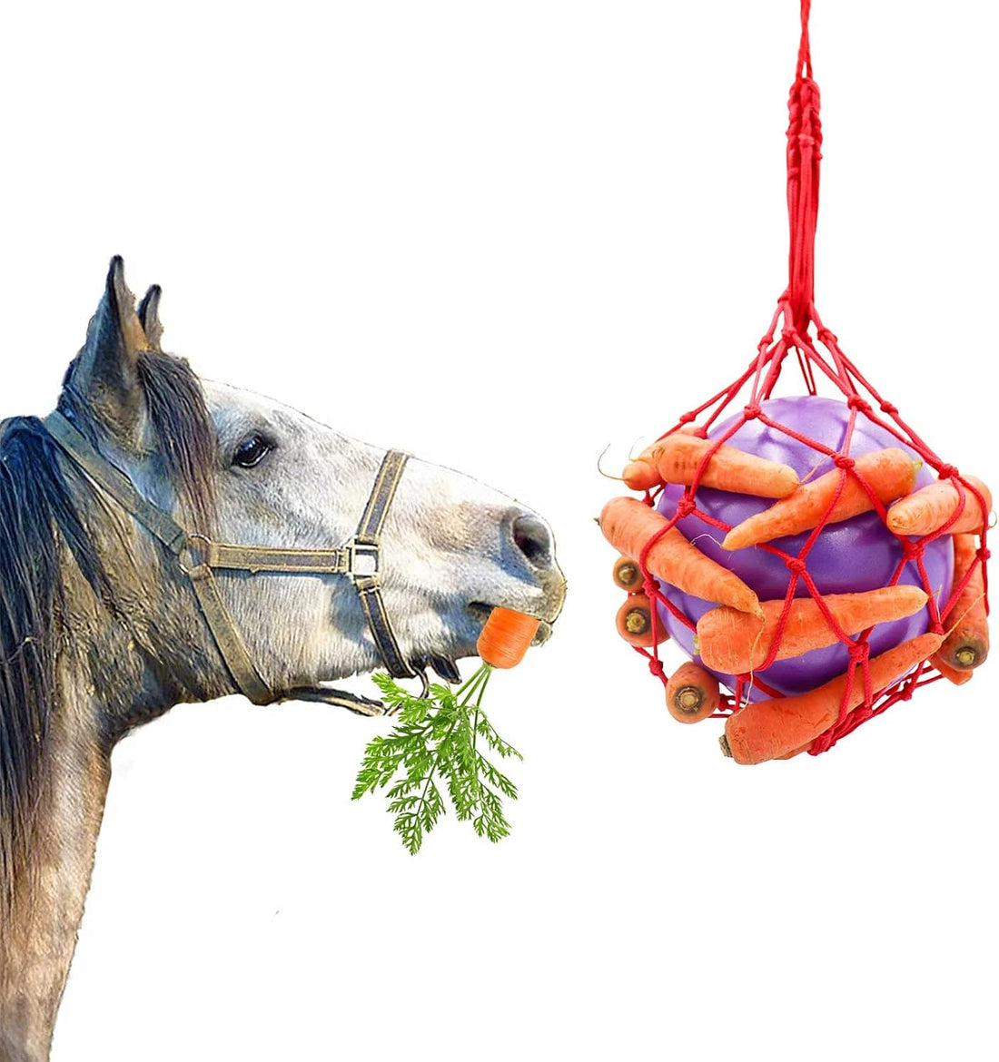 Tirifer Carrot Feeder Ball Toy for Horse, Goat, Sheep - Stress Relief