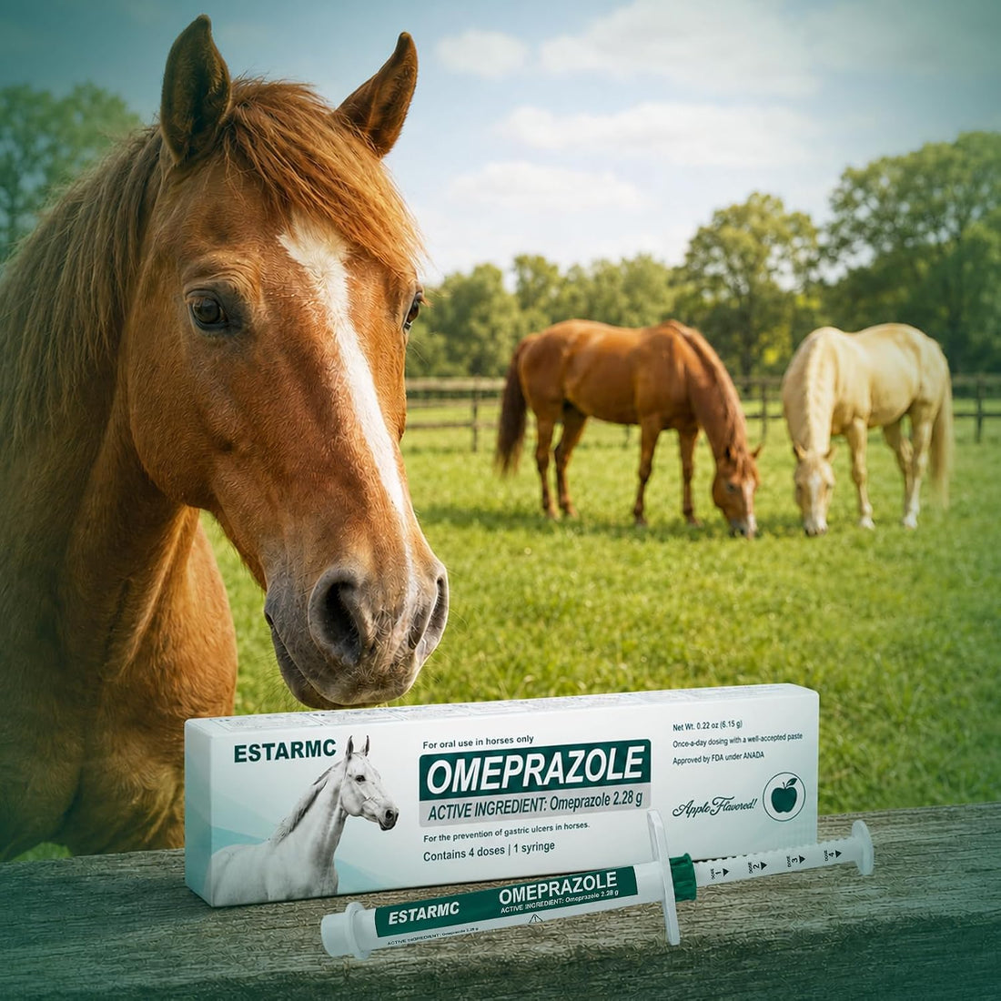 3 Pack Oral Paste Syringe for Horses,Apple Flavor