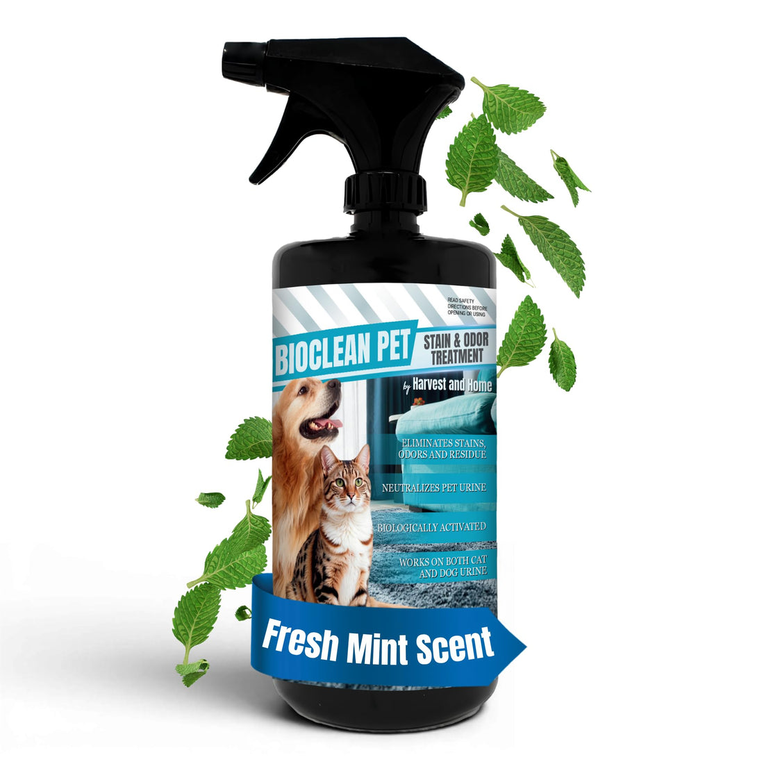 Bioclean Pet Carpet Cleaner & Deodorizer – Eliminates Pet Urine Smell
