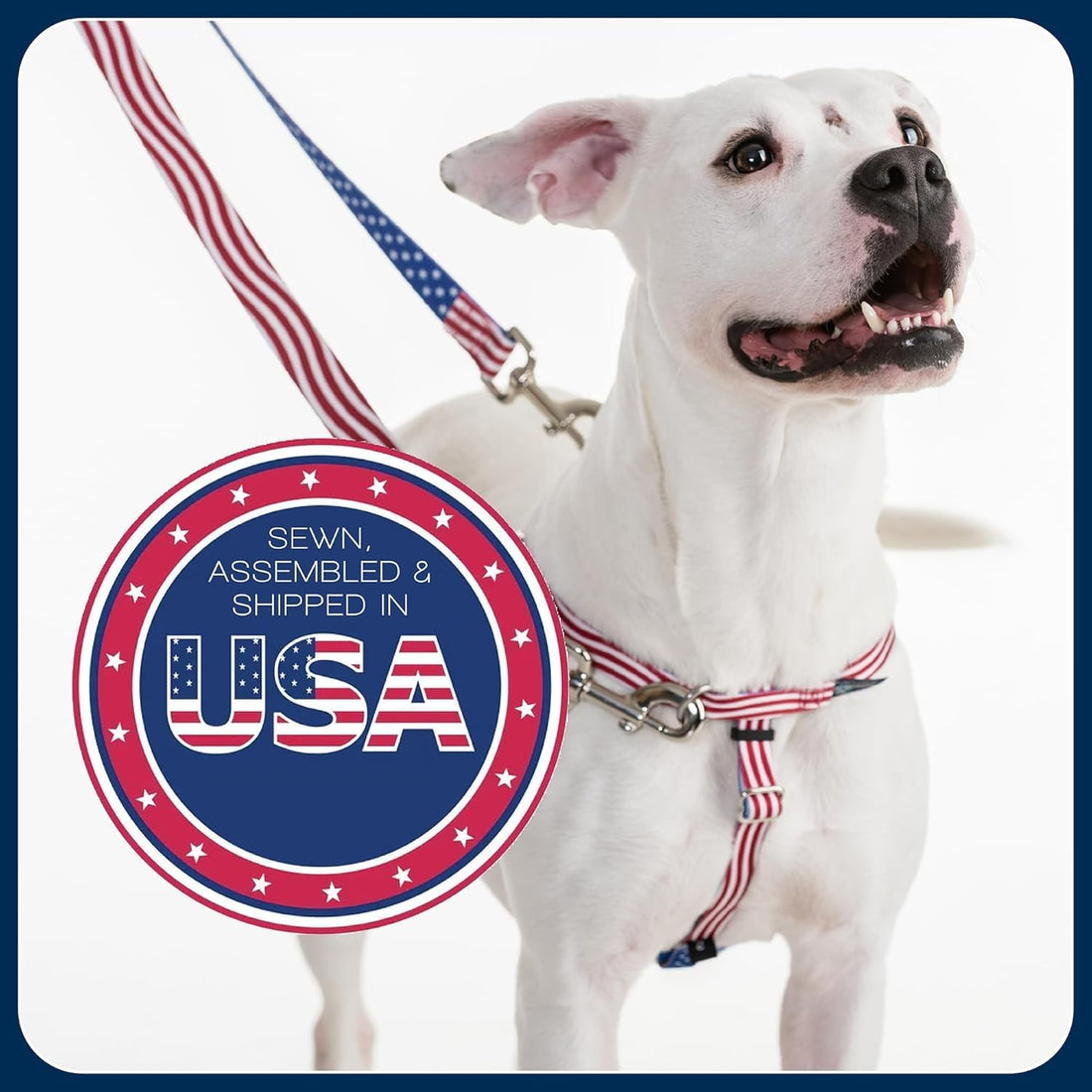 2 Hounds Design Freedom No Pull Dog Harness