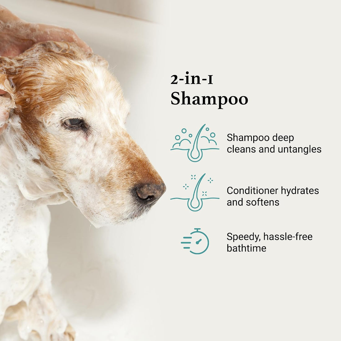 iGroom All-in-One Dog Shampoo + Conditioner, Luxury Pet Beauty Care