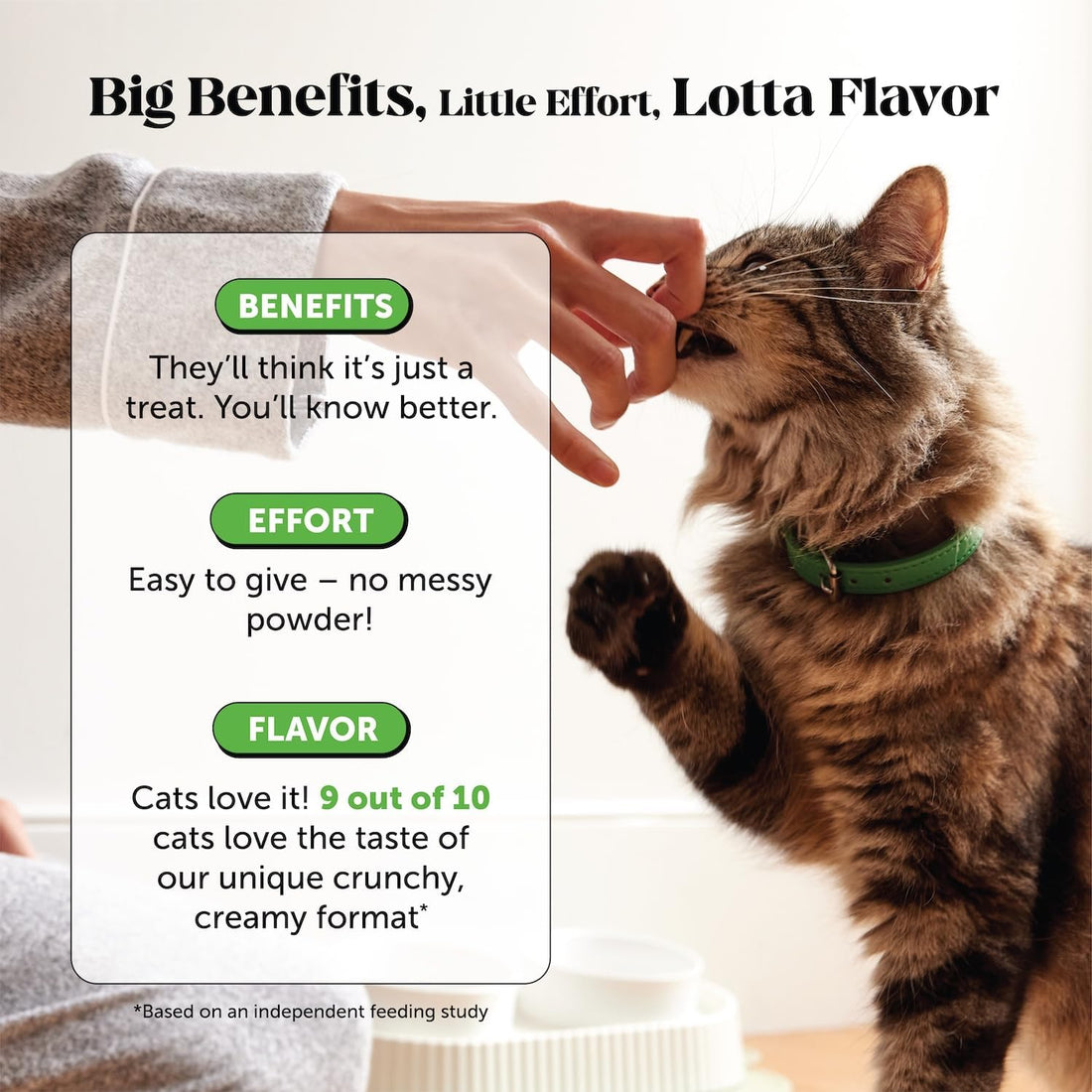 Pet Honesty Vet Backed Cat Probiotic Chews, Chicken, 30-Day Supply