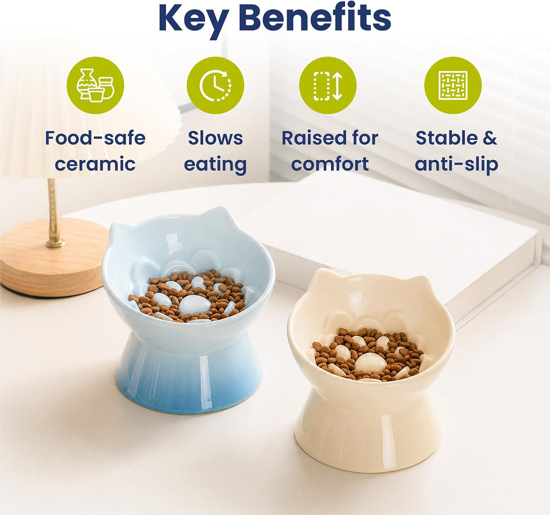 PawsPik Lynx Ceramic Raised Slow Dog & Cat Elevated Food Bowl