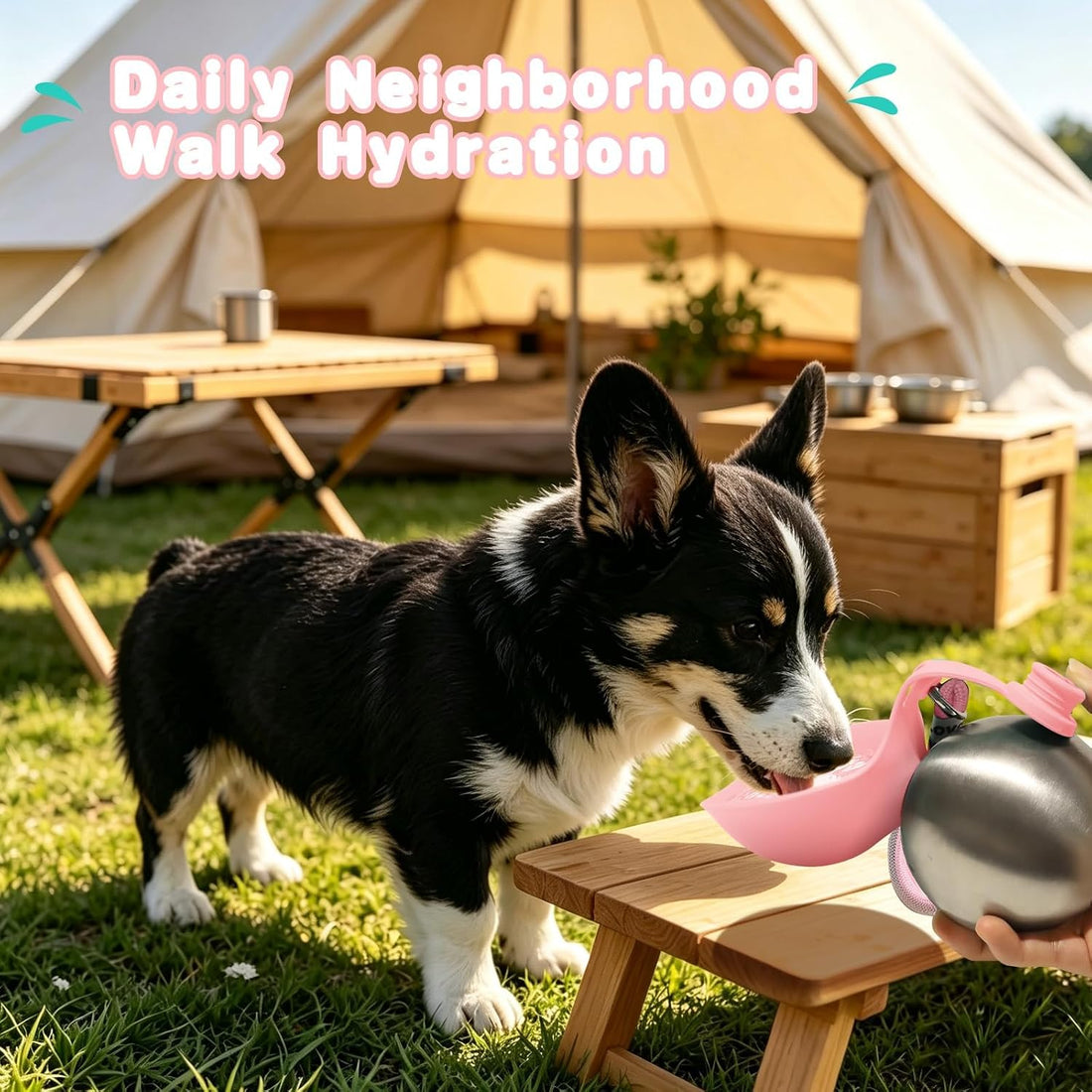 Drain-Back Stainless Steel Portable Dog Water Bottle with Bowl