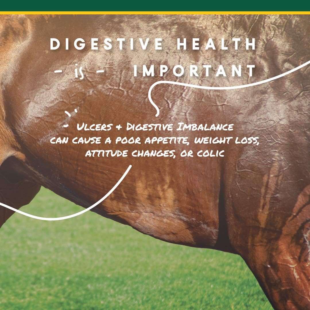 Corta-Flx U-Gard Pellets for Horses, Digestive Supplement