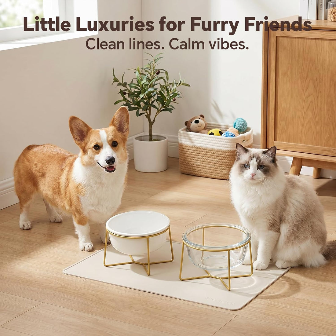 Large Glass Tilted Elevated Cat Dog Bowl Raised Cat Food Water Bowl