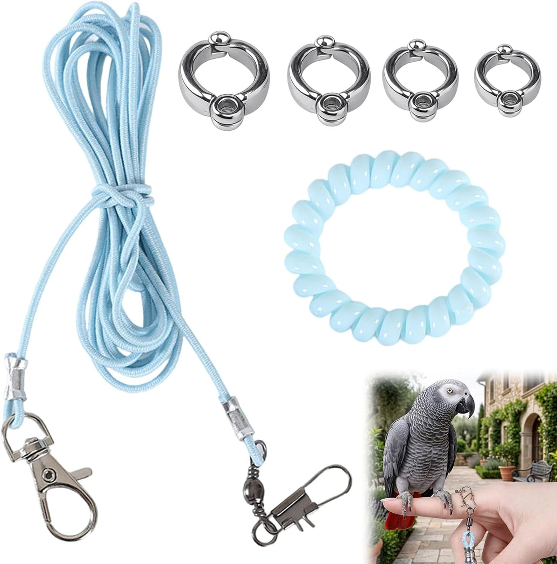 Parrot Flying Training Rope with 4 Size Bird Leash Foot Ring,Outdoor