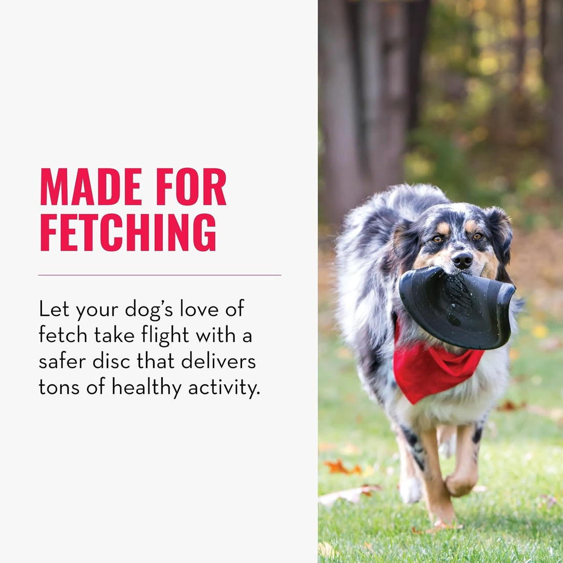 KONG Extreme Flyer, Durable Soft Rubber Flying Disc, for Large Dogs