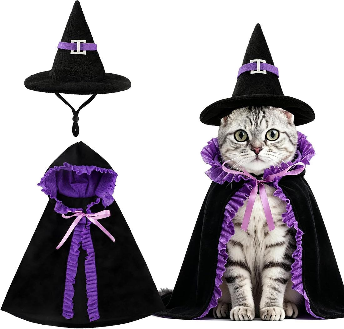 Halloween Cat Witch Costume Set Cute Pet Witch Hat Cape Accessories