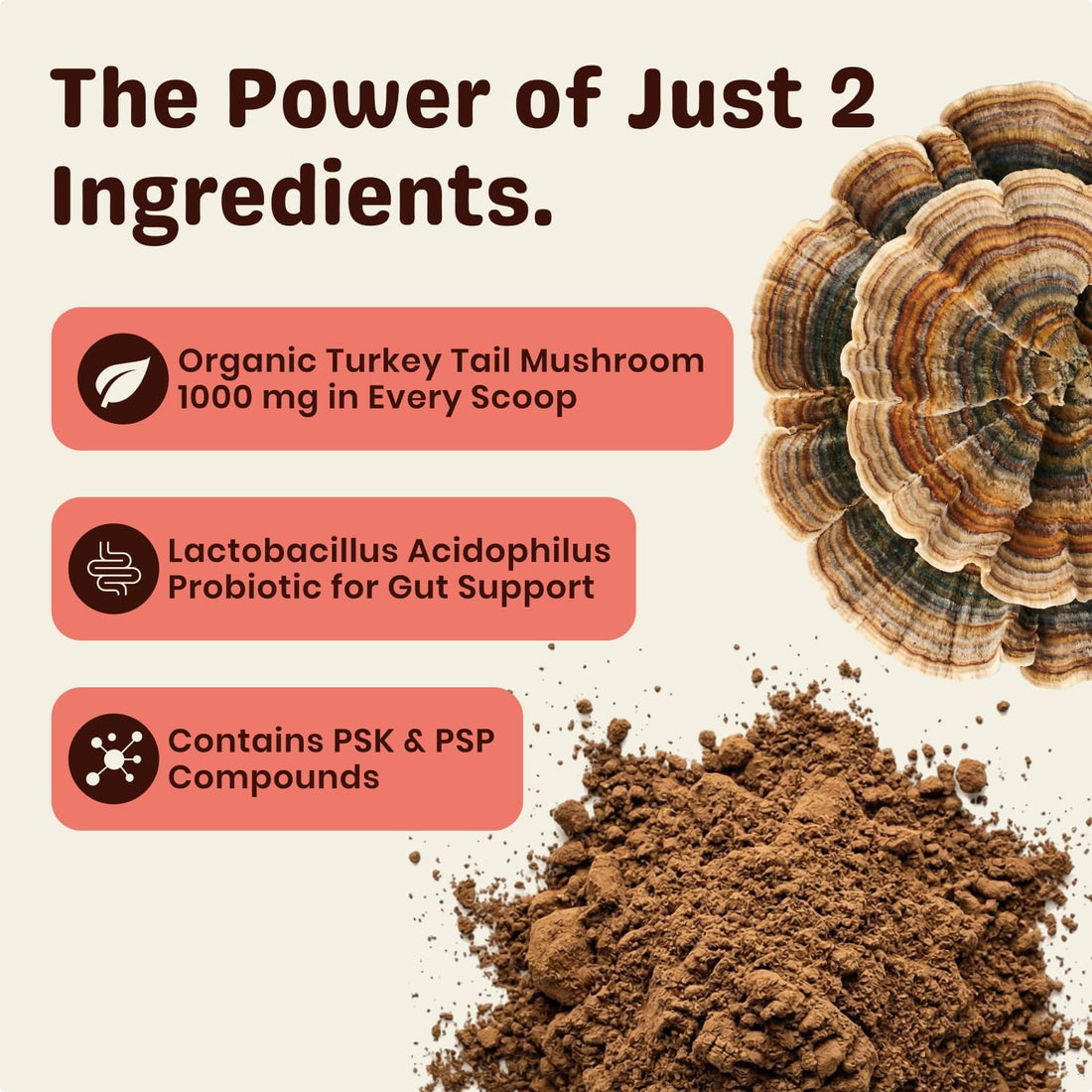 Turkey Tail Mushroom for Dogs