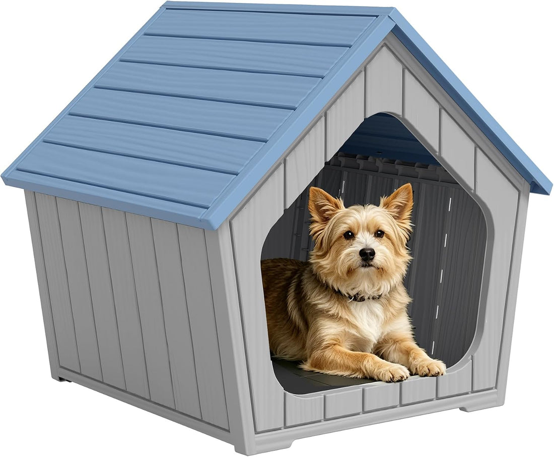 Fancyango Outdoor Indoor Dog House for Small Dogs Dog House