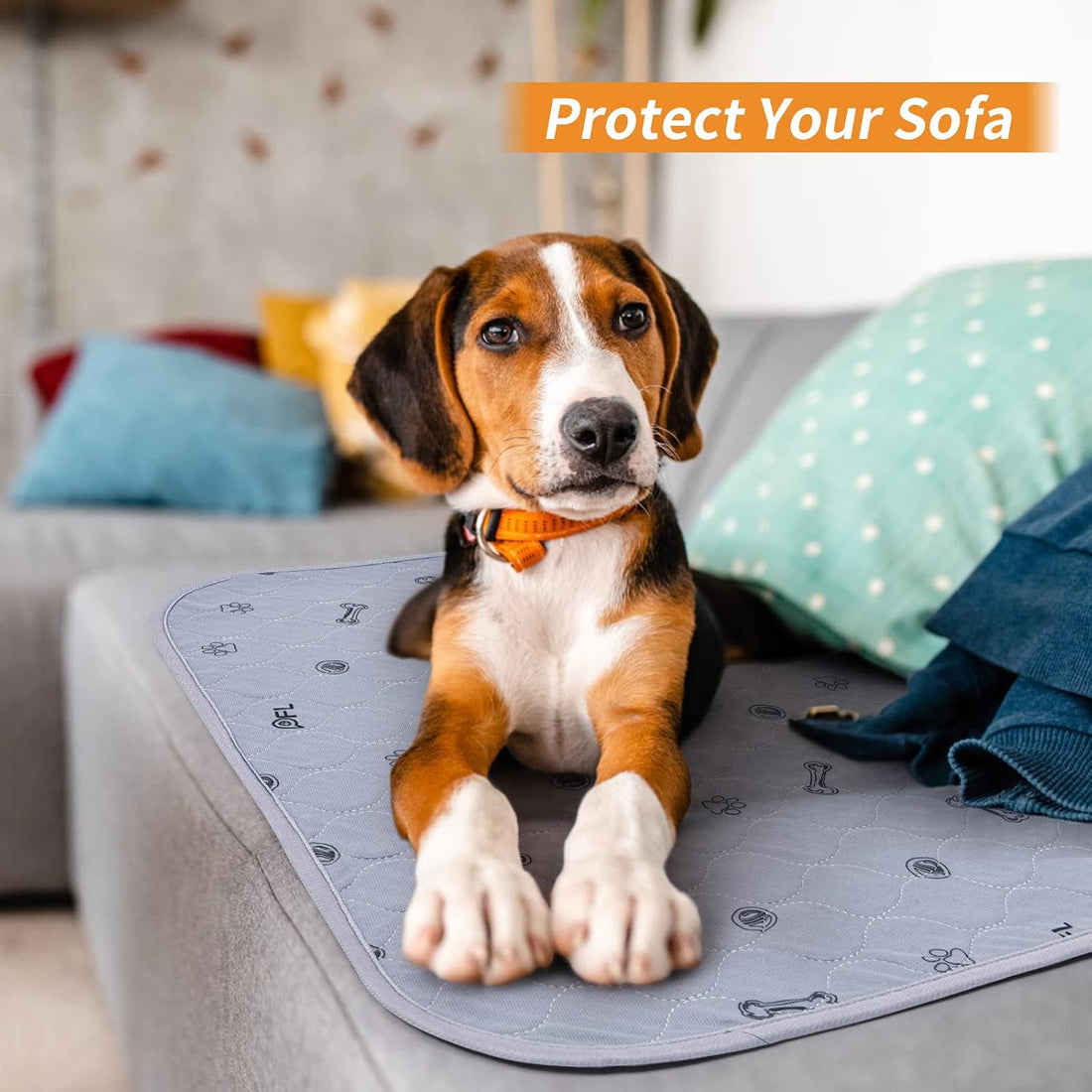 Washable Puppy Pads, Absorbent Pee Pads for Dogs, Potty Training