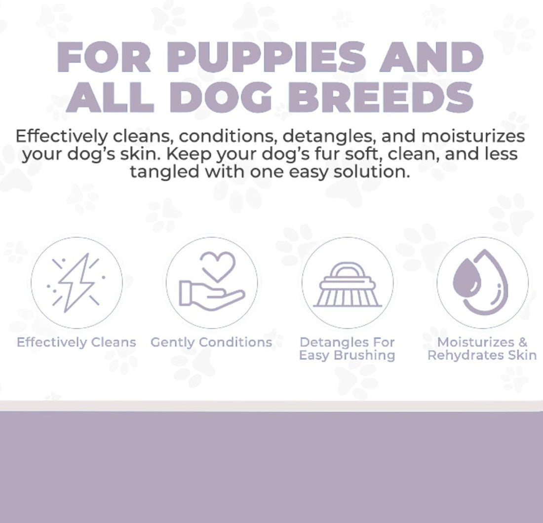4-in-1 Dog Shampoo Dog Shampoo, Conditioner & Detangler