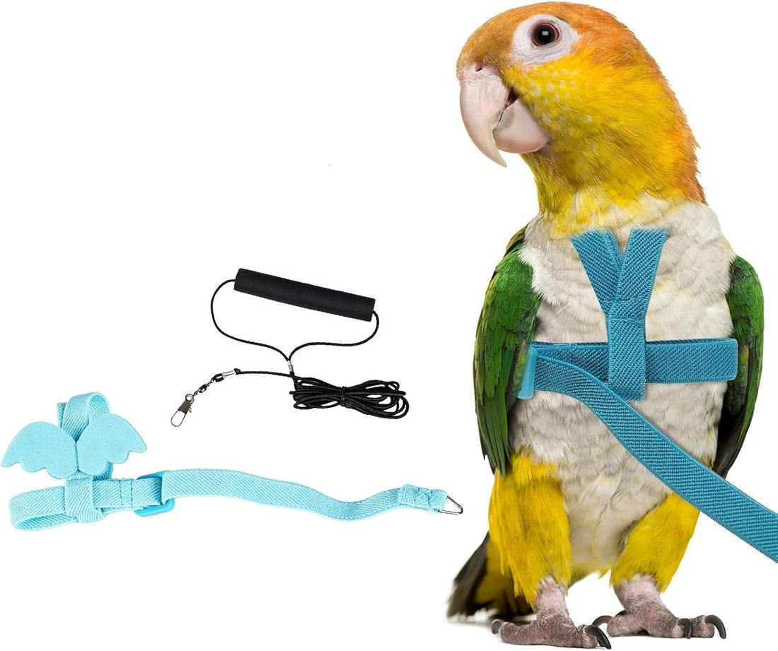 Bird Harness Leash for Pet Parrots