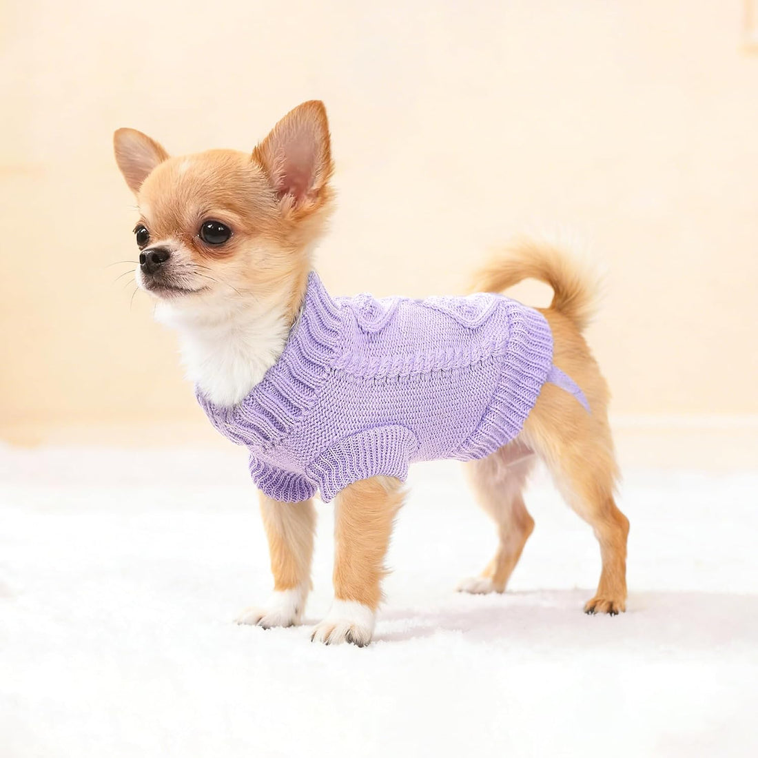 2 Pieces Puppy Sweater Dog Sweater for Small Dogs Winter Warm Dog