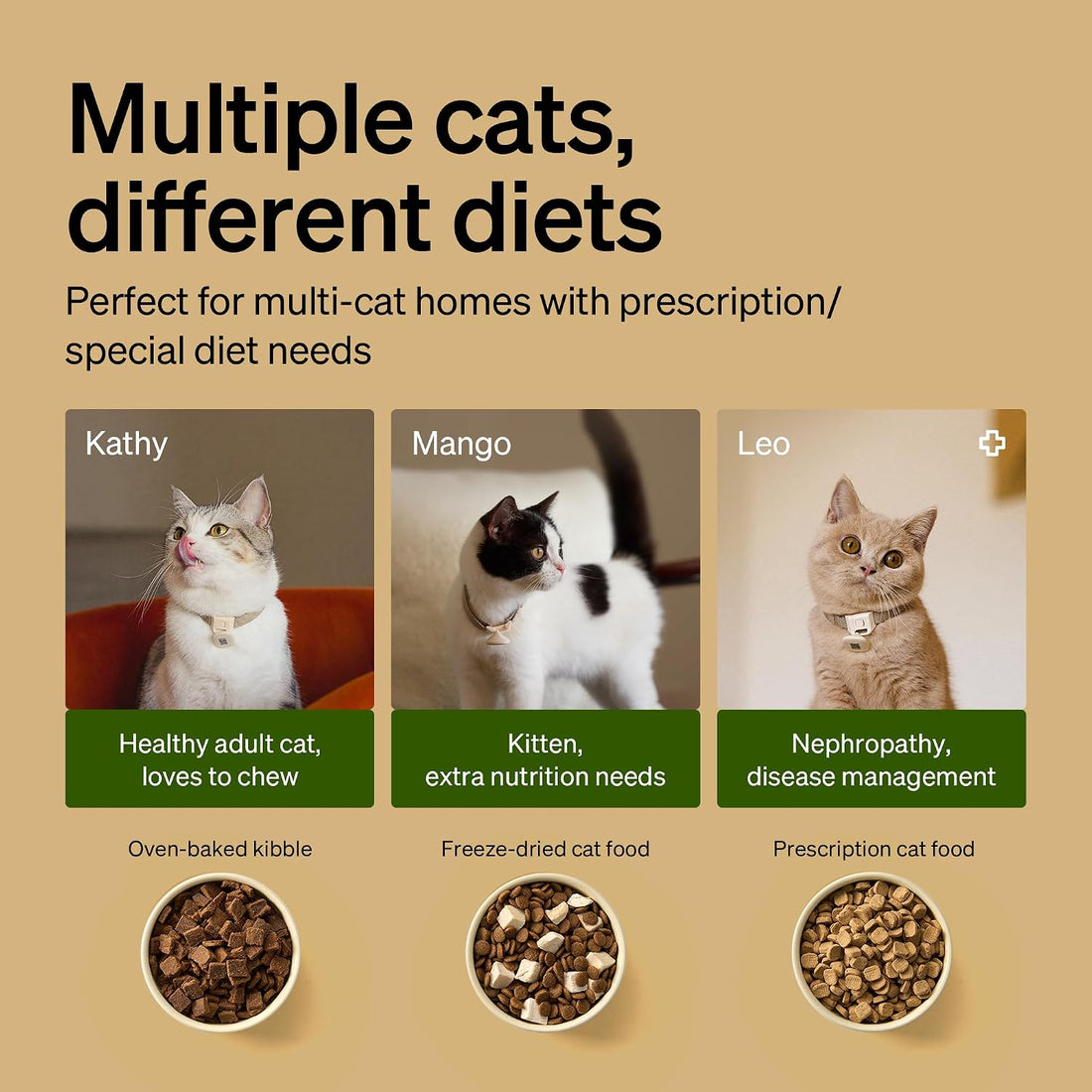 PETLIBRO RFID Automatic Cat Feeder
