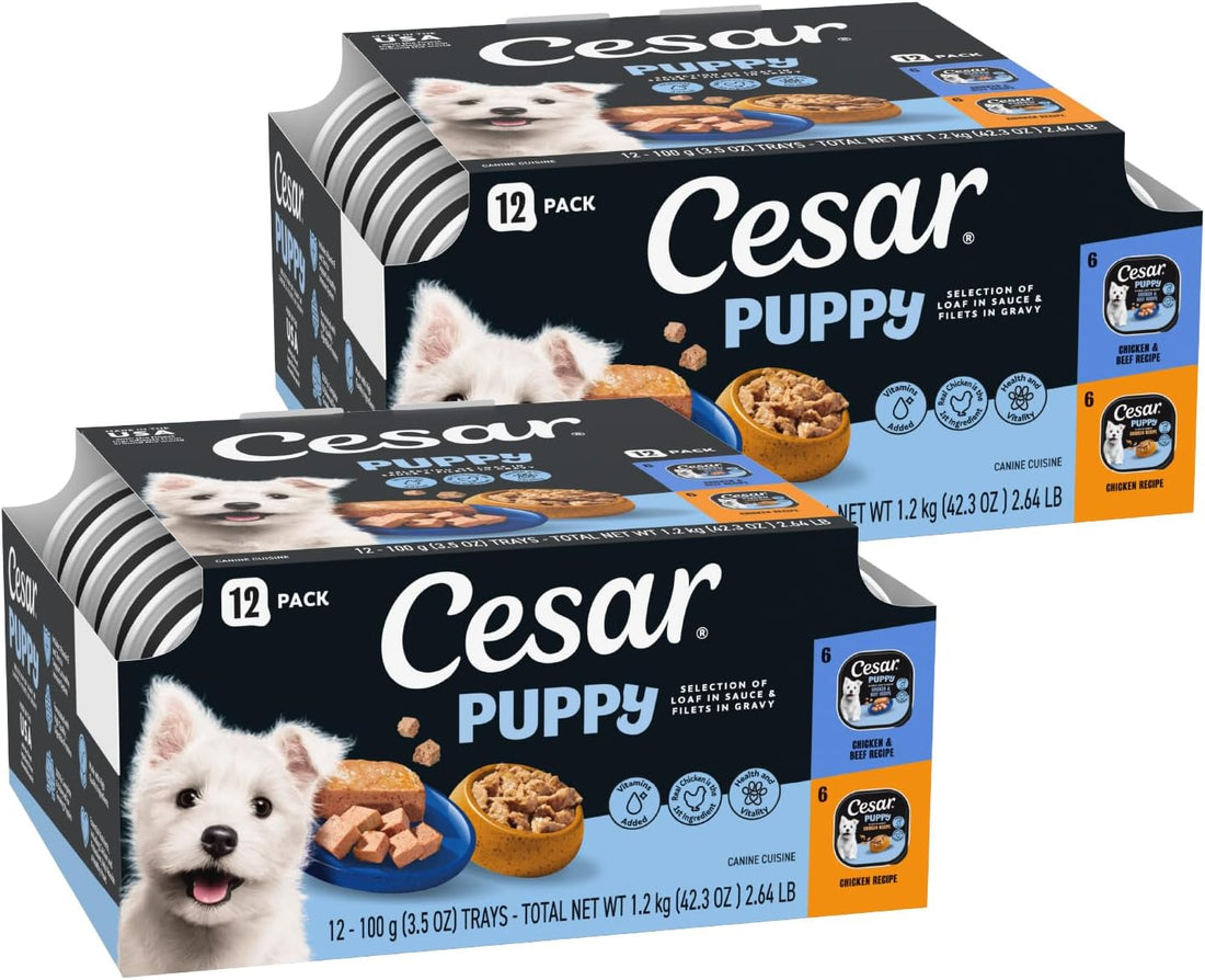 Cesar Puppy Wet Dog Food