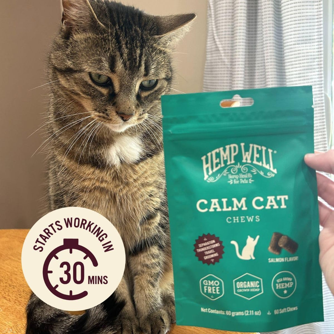 Hemp Well Calm Cat Soft Chews with Organic Hemp, Stress Support