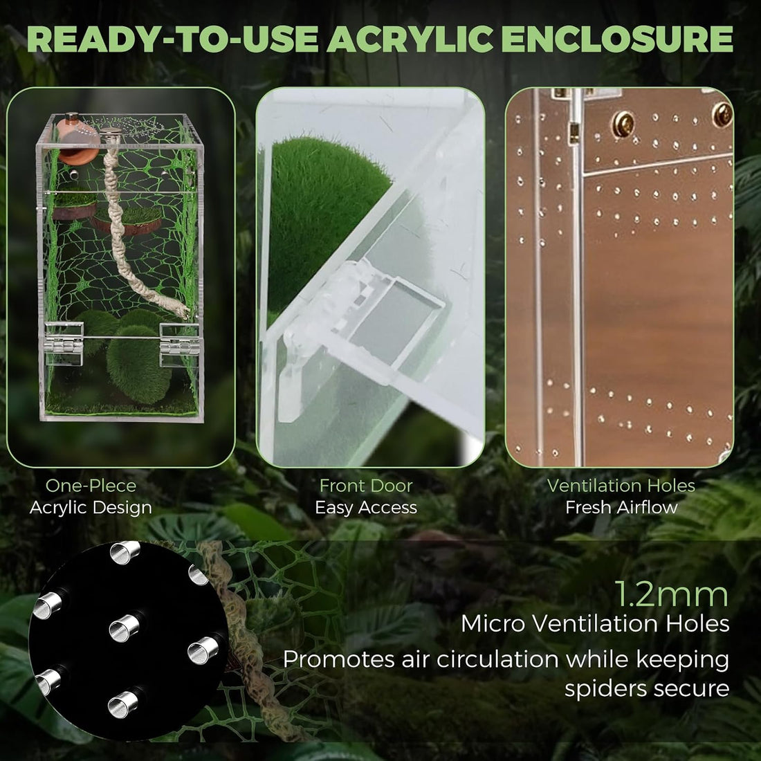 4"x4"x8" Acrylic Jumping Spider Enclosure Ready-to-Use No Assembly