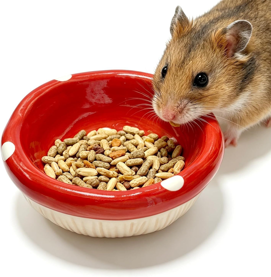 Hamster Mushroom Cap Shape Ceramic Food Bowl, Anti-Spill Non-Tip
