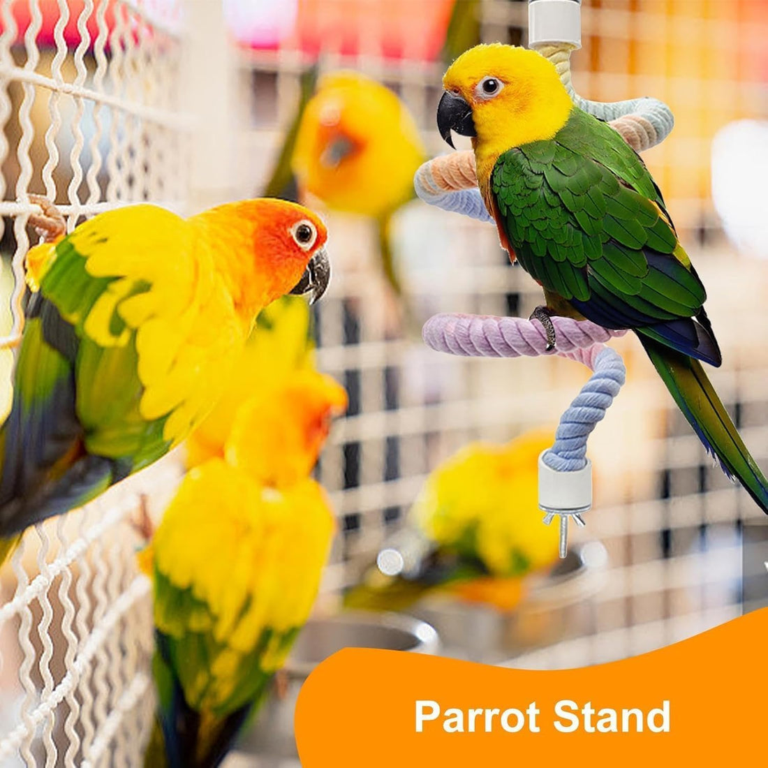 3 PCS of Bird perches Gradient Ropes
