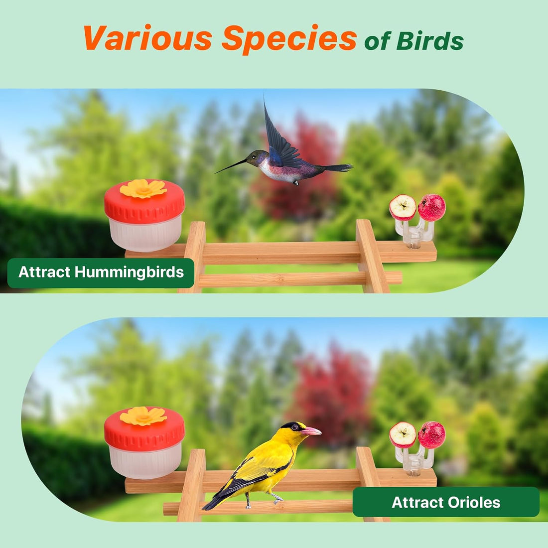 Smart Bird Feeder with Camera Solar Powered