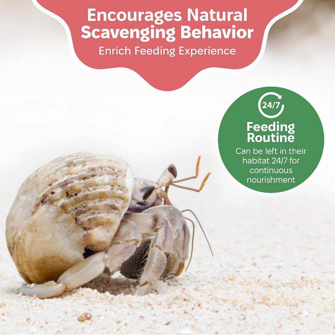 Hermit Crab Greensand – Calcium and Trace Mineral Molting Support