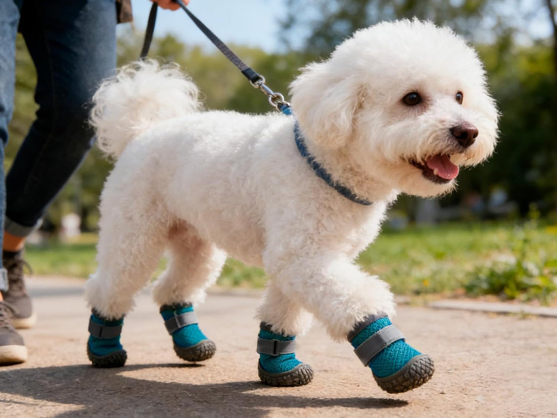 Dog Shoes Breathable Non-Slip Outdoor Booties for Small Medium Dogs