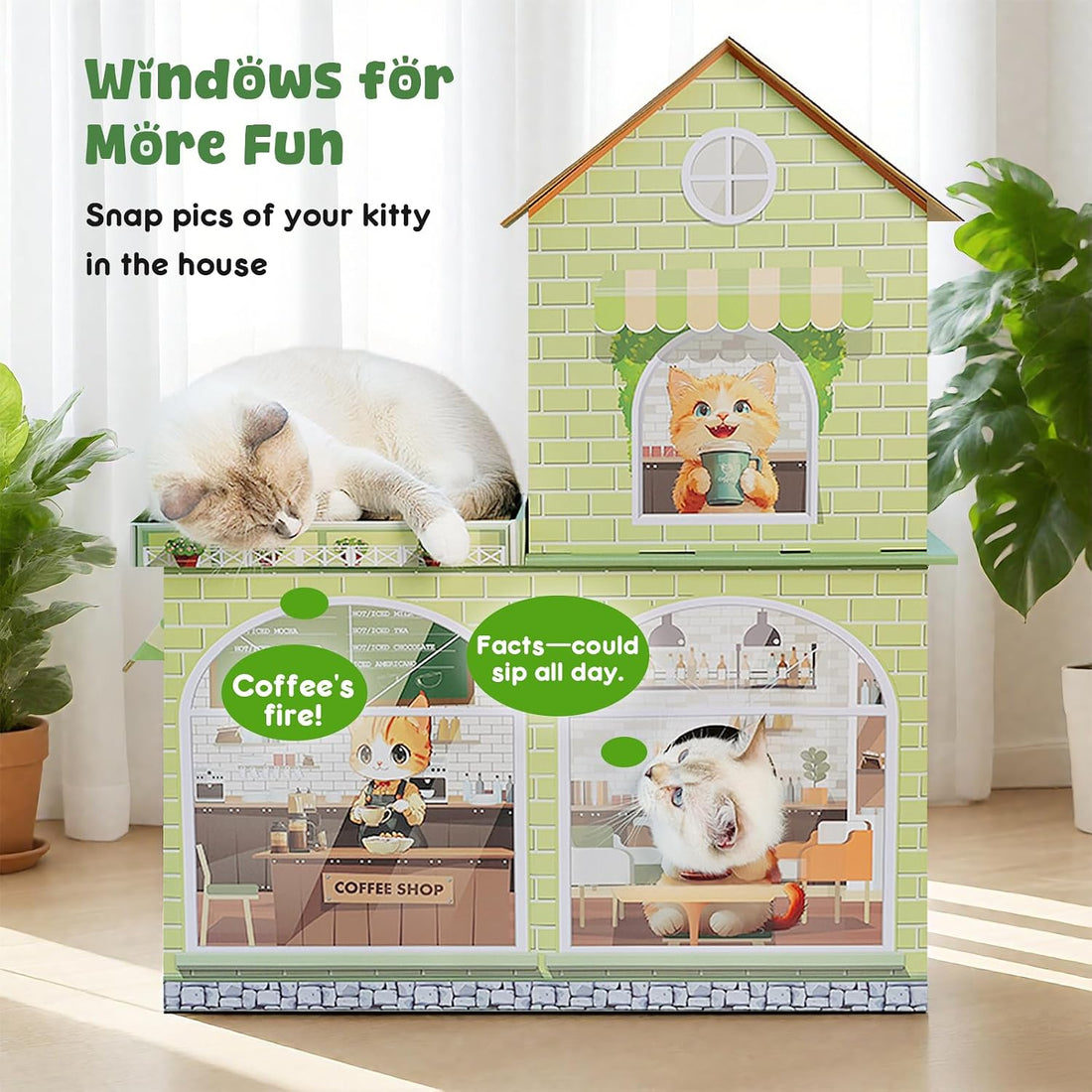 Cardboard Cat Houses for Indoor Cats