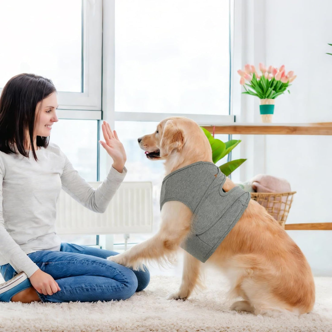 BRKURLEG Chest Recovery Suit for Dogs, Chest Wound Cover, Grey XL