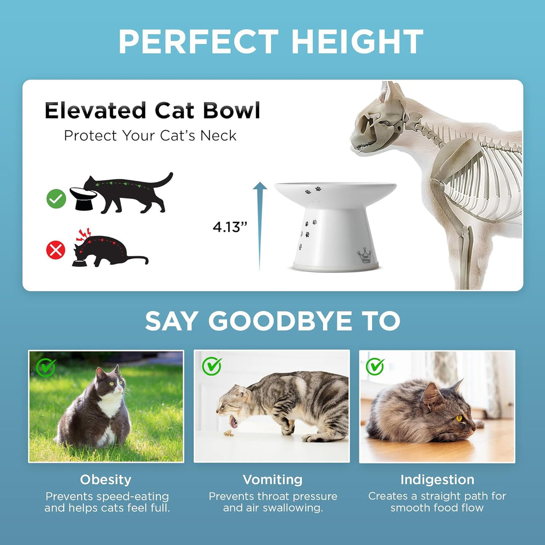 Necoichi Elevated Cat Food Bowl, Ceramic, Whisker-Friendly