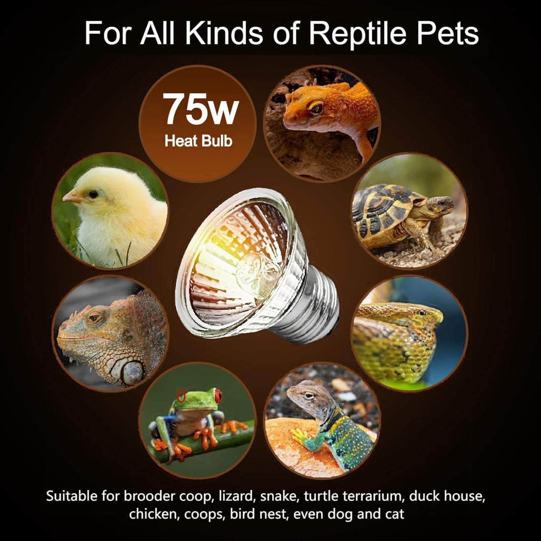 50W Uva Light Bulbs 2 Packs, Turtle Heat Lamp for Reptile