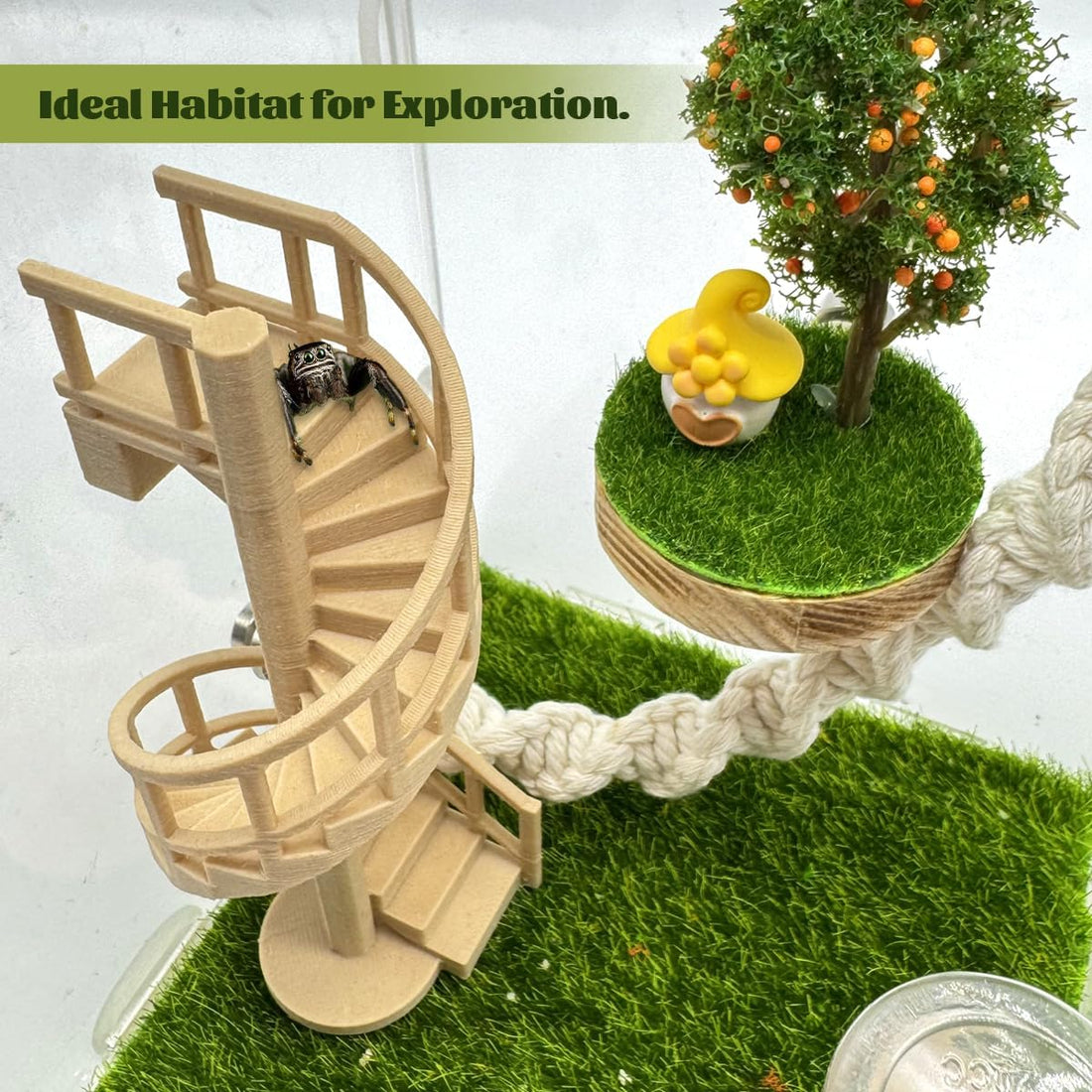 Jumping Spider Enclosure Accessories – Fun Spinning Stairs
