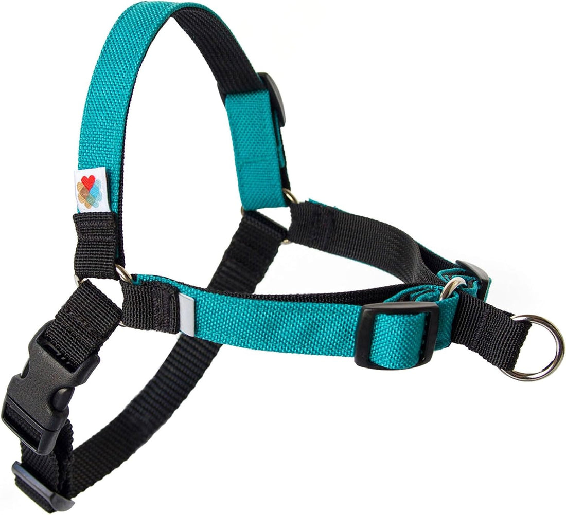 Wildebeest No Pull Dog Harness | Comfortable Training Harnesses