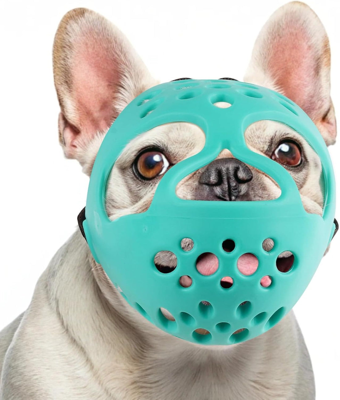 BARKLESS Frenchie Muzzle for Biting, Breathable Short Snout Dog Muzzle