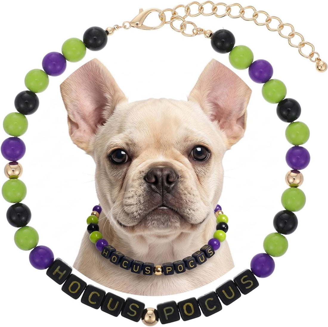 Halloween Beaded Pet Necklace Collar Dog Cat Holiday Costume Collar