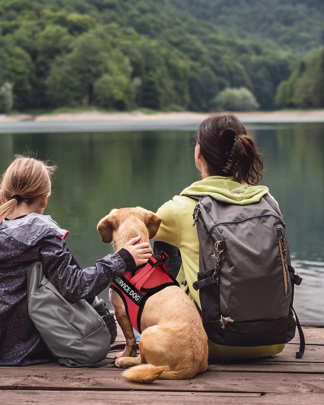 FAYOGOO Service Dog Vest for Small Dogs