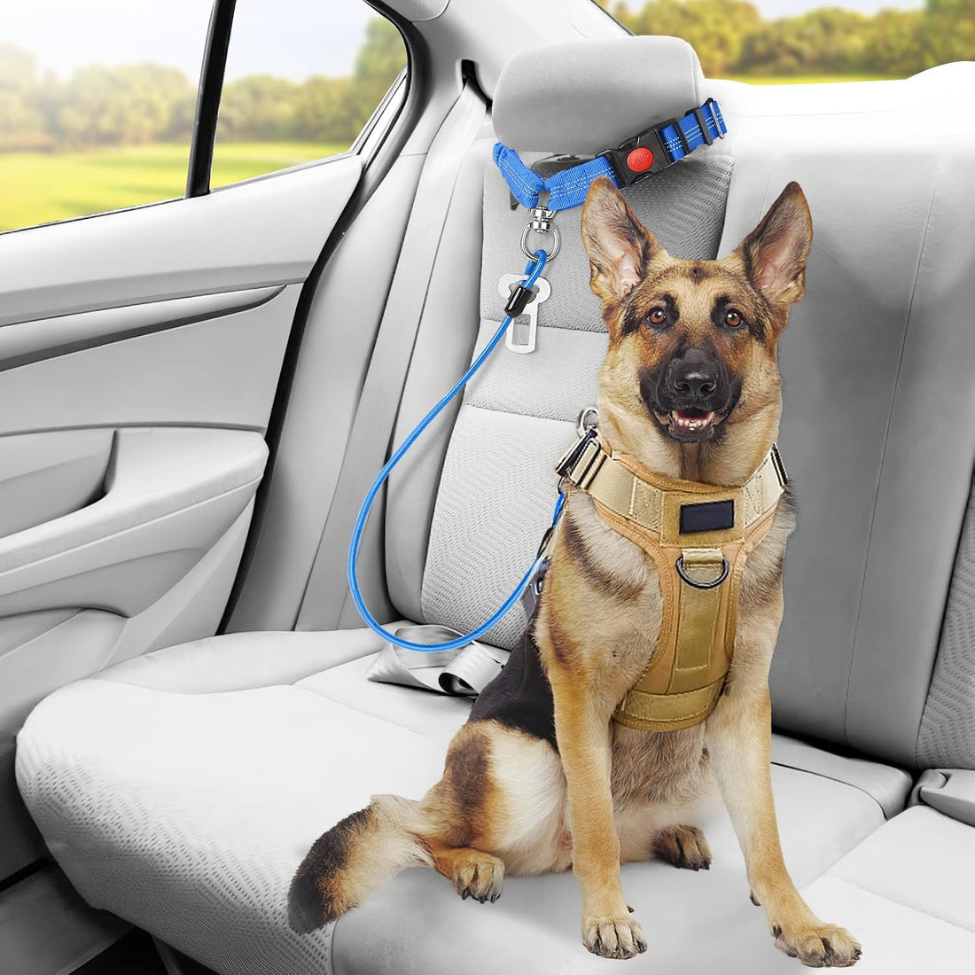 CHZUOBER Chew Proof Dog Car Seat Belt