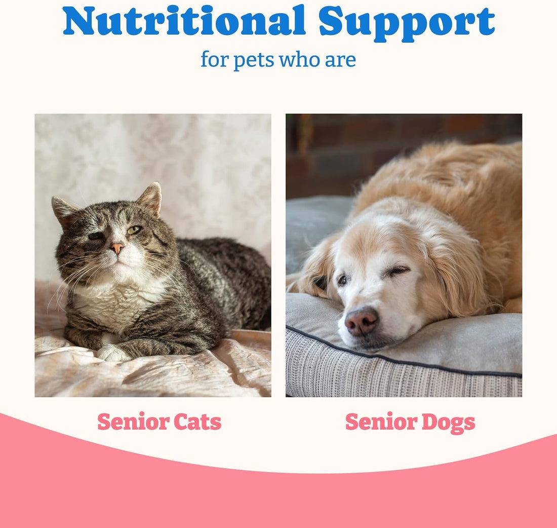 3 Pack Bovine Colostrum Nutrical Gel for Dogs & Cats,Support Appetite