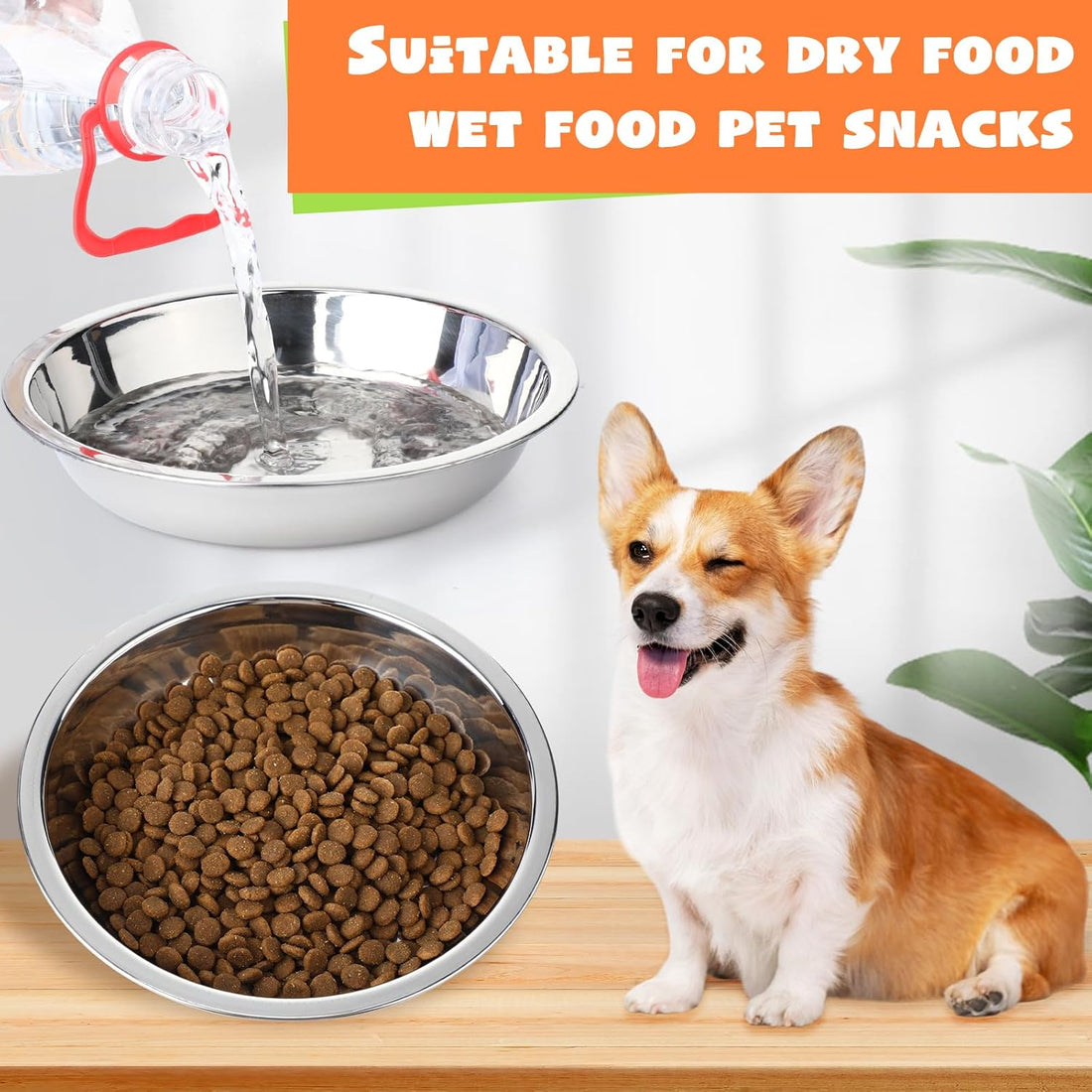 Patelai 4 Pcs Dog Bowl with Lid
