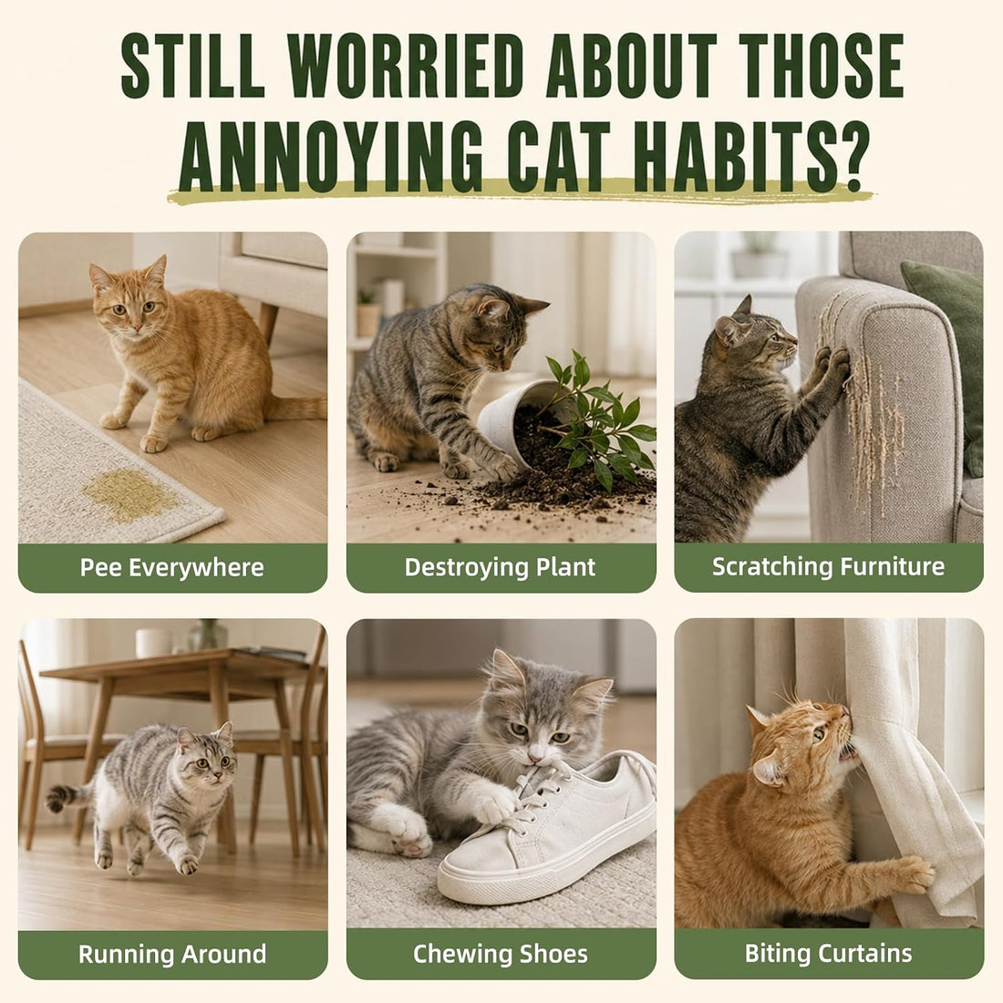 Falefale Cat Deterrent Spray, Anti-Scratch & Chewing Training Aid