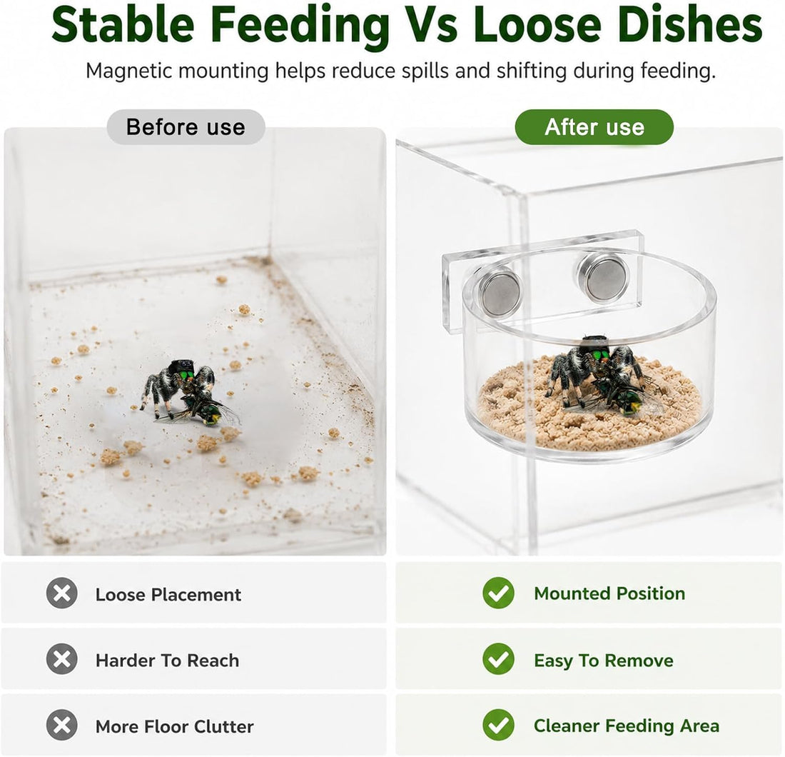 Jumping Spider Feeding Dish Set