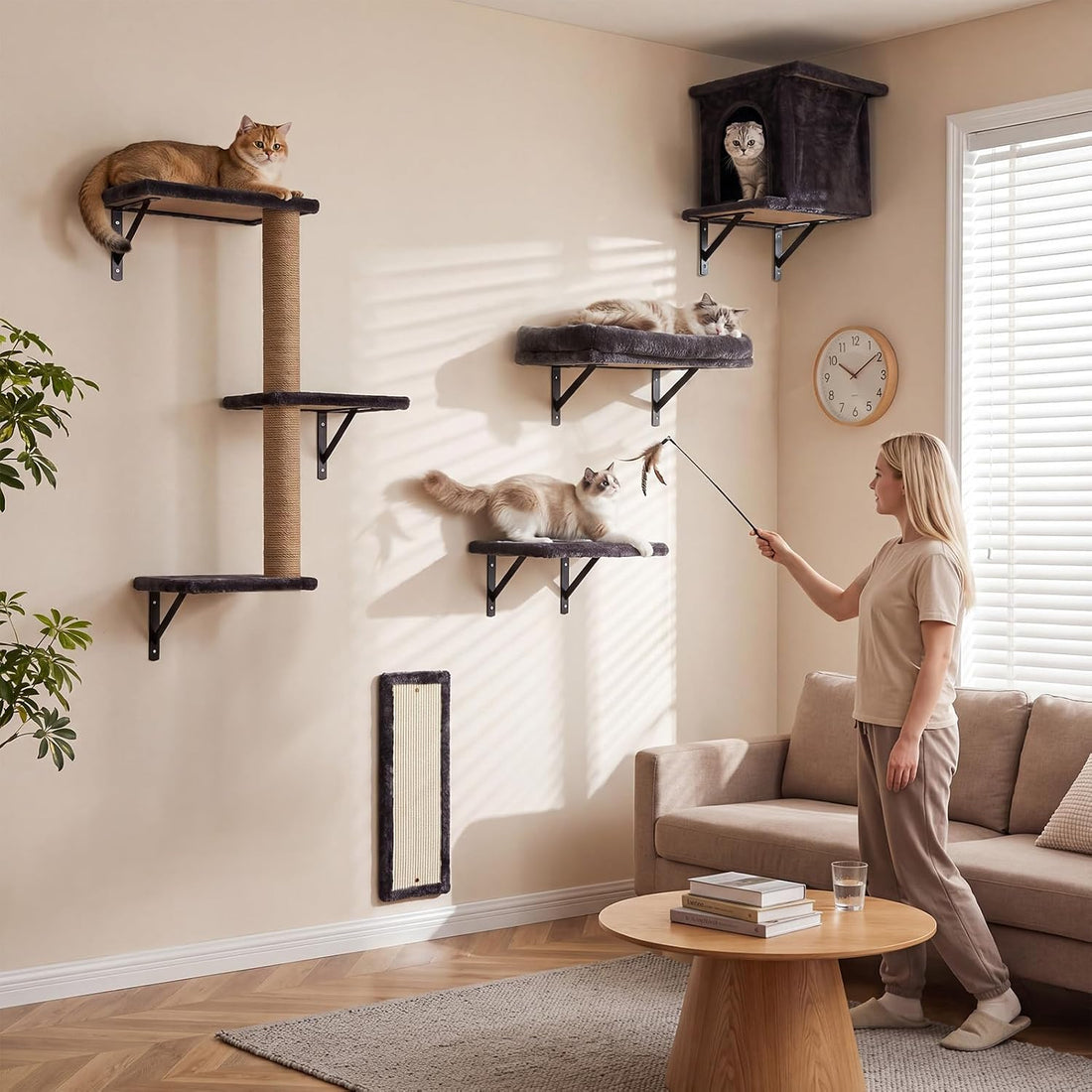 6-in-1 Cat Wall Shelves for Large Cats