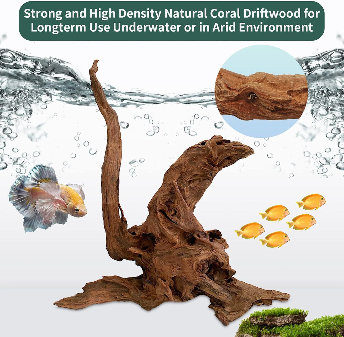 Hamiledyi 5 Pcs Driftwood Branches 5.5"-8.6" Aquarium Wood Decoration
