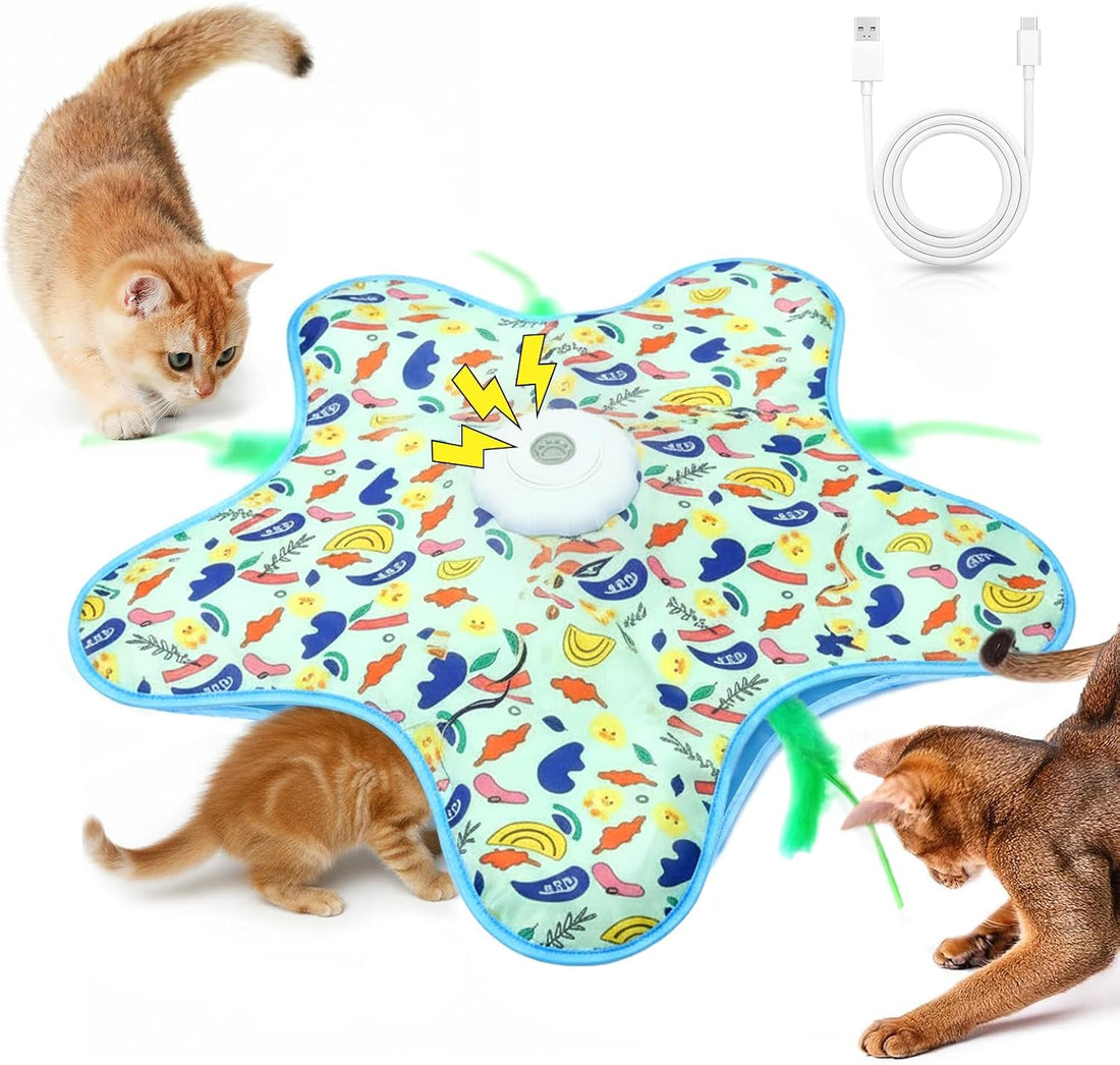 Interactive Touch Activated Hide and Seek Cat Toys for Indoor Cats