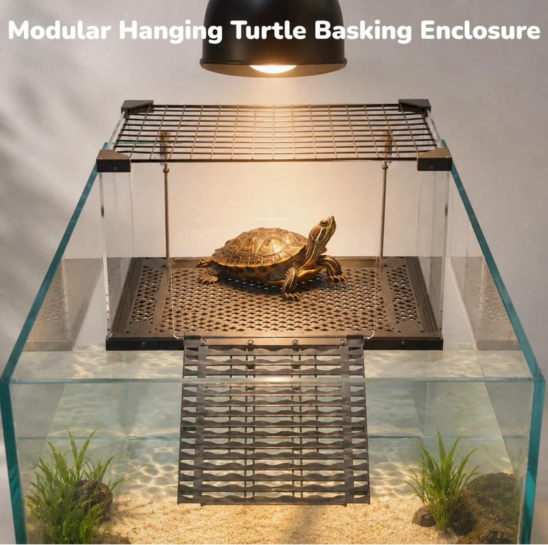 Escape-Proof Turtle Basking Platform Enclosure for 60-Gallon+ Tanks