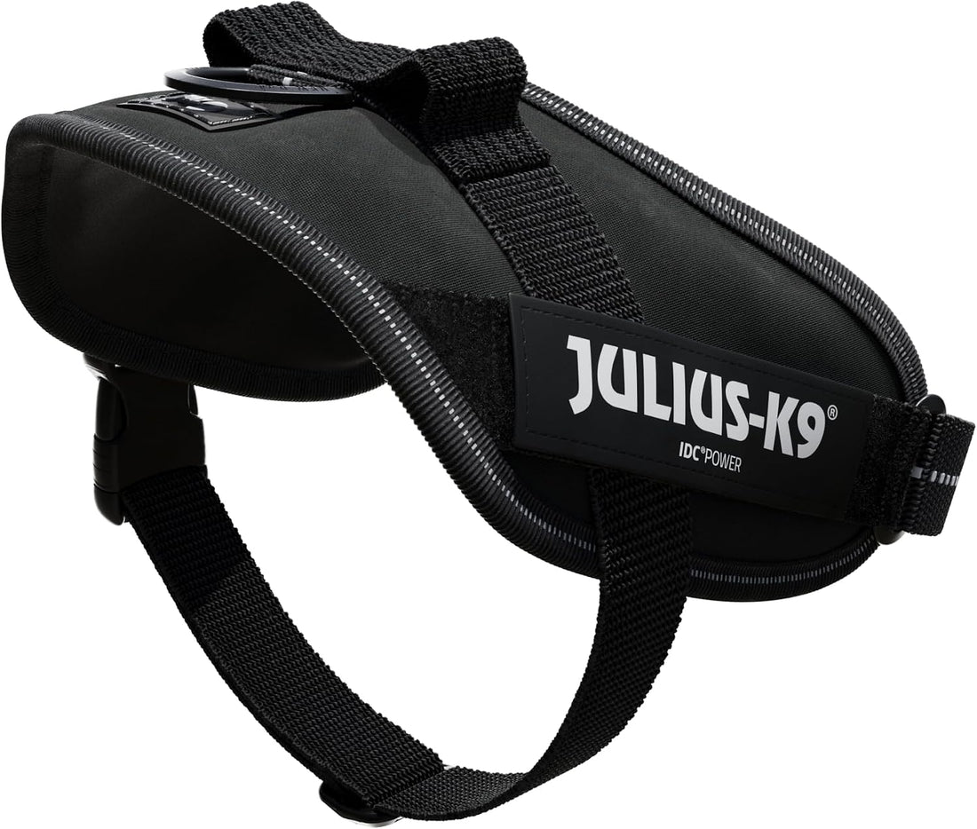 Julius-K9, 16IDC-P-M, IDC Powerharness, Dog Harness, Size:
